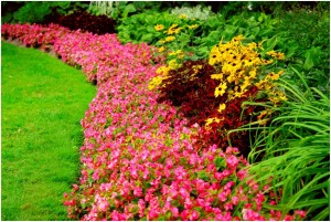 Wedding Garden Venues